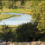 scpttsdale realtor,real estate