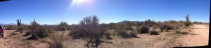 horse ranch arizona with panoramic views,rio verde foothills,owner financed land for sale scottsdale